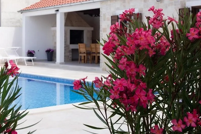 *** Guest house Villa Stella Zadar Croatia