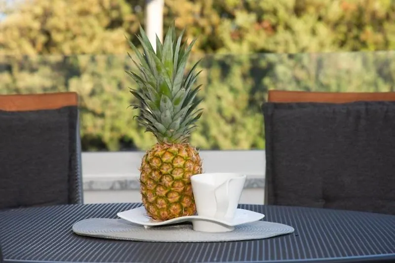 Guest house Villa Stella Zadar